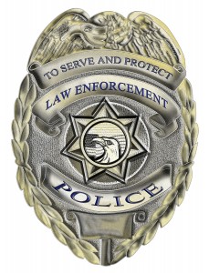 Check Police Criminal Records