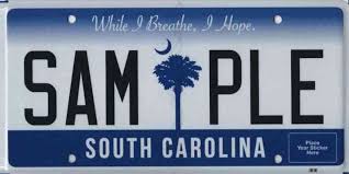 Free South Carolina License Plate Lookup Enter Any License Search