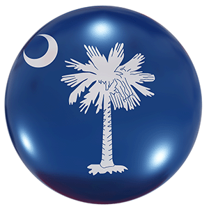South Carolina License Plate Lookup