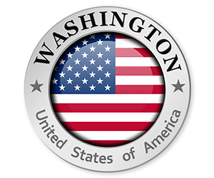 Washington License Plate Lookup