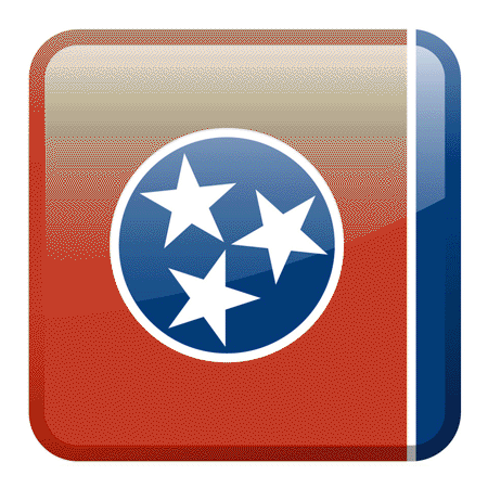 Tennessee Driving Records
