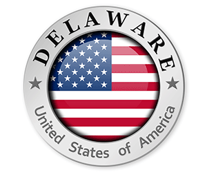 Delaware Warrant Search