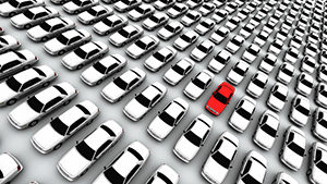 car tag number search