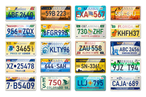 Car License Plate Number Search