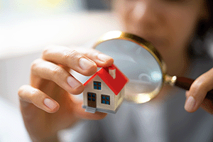 Asset Search