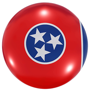 Tennessee Arrest Records